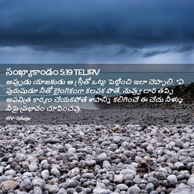Picture 02 - సంఖ్యాకాండం 5:19 TELIRV - అప్పుడు యాజకుడు ఆ - Bible Verse Picture