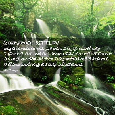 Picture 02 - సంఖ్యాకాండం 5:21 TELIRV - ఇక్కడ యాజకుడు ఆమె - Bible Verse Picture