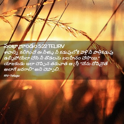 Picture 02 - సంఖ్యాకాండం 5:22 TELIRV - శాపాన్ని కలిగించే - Bible Verse Picture