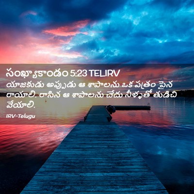 Picture 02 - సంఖ్యాకాండం 5:23 TELIRV - యాజకుడు అప్పుడు ఆ - Bible Verse Picture