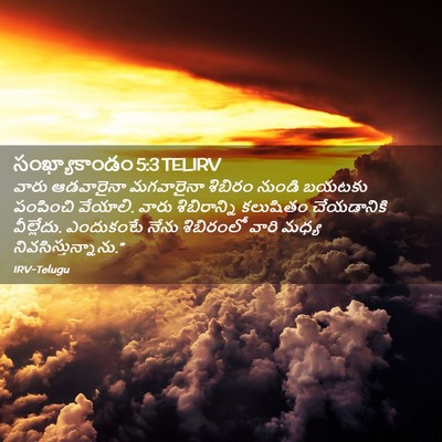 Picture 02 - సంఖ్యాకాండం 5:3 TELIRV - వారు ఆడవారైనా - Bible Verse Picture