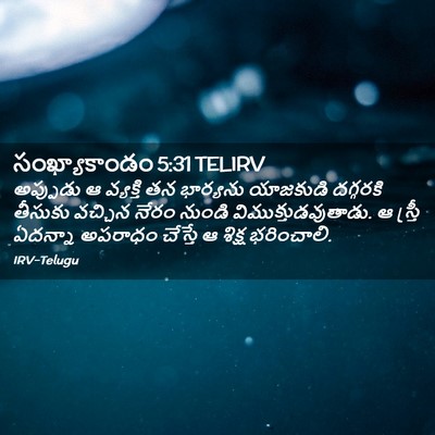 Picture 02 - సంఖ్యాకాండం 5:31 TELIRV - అప్పుడు ఆ వ్యక్తి - Bible Verse Picture