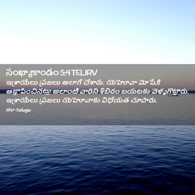Picture 02 - సంఖ్యాకాండం 5:4 TELIRV - ఇశ్రాయేలు ప్రజలు - Bible Verse Picture