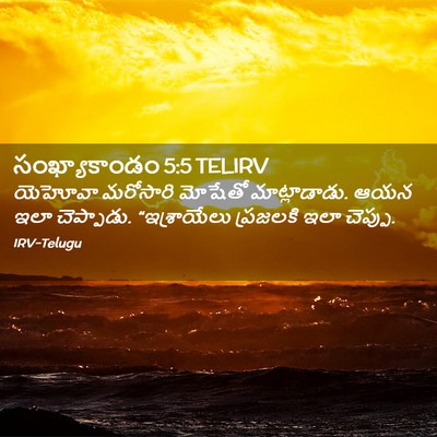 Picture 02 - సంఖ్యాకాండం 5:5 TELIRV - యెహోవా మరోసారి - Bible Verse Picture