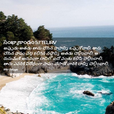 Picture 02 - సంఖ్యాకాండం 5:7 TELIRV - అప్పుడు అతడు తాను - Bible Verse Picture