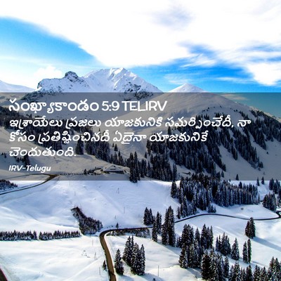 Picture 02 - సంఖ్యాకాండం 5:9 TELIRV - ఇశ్రాయేలు ప్రజలు - Bible Verse Picture