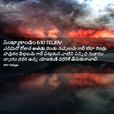 Picture 02 - సంఖ్యాకాండం 6:10 TELIRV - ఎనిమిదో రోజున - Bible Verse Picture