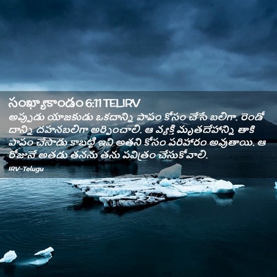 Picture 02 - సంఖ్యాకాండం 6:11 TELIRV - అప్పుడు యాజకుడు - Bible Verse Picture