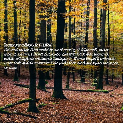 Picture 02 - సంఖ్యాకాండం 6:12 TELIRV - తరువాత అతడు - Bible Verse Picture
