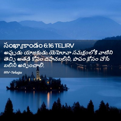 Picture 02 - సంఖ్యాకాండం 6:16 TELIRV - అప్పుడు యాజకుడు - Bible Verse Picture