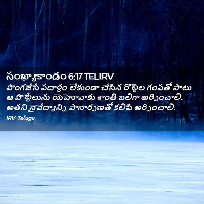 Picture 02 - సంఖ్యాకాండం 6:17 TELIRV - పొంగజేసే పదార్ధం - Bible Verse Picture
