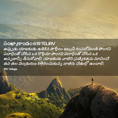 Picture 02 - సంఖ్యాకాండం 6:19 TELIRV - అప్పుడు యాజకుడు - Bible Verse Picture