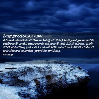 Picture 02 - సంఖ్యాకాండం 6:20 TELIRV - తరువాత యాజకుడు - Bible Verse Picture