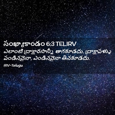 Picture 02 - సంఖ్యాకాండం 6:3 TELIRV - ఎలాంటి - Bible Verse Picture