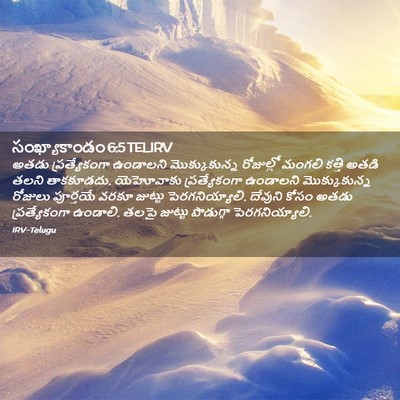 Picture 02 - సంఖ్యాకాండం 6:5 TELIRV - అతడు ప్రత్యేకంగా - Bible Verse Picture