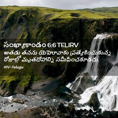Picture 02 - సంఖ్యాకాండం 6:6 TELIRV - అతడు తనను - Bible Verse Picture