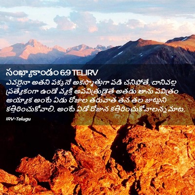 Picture 02 - సంఖ్యాకాండం 6:9 TELIRV - ఎవరైనా అతని - Bible Verse Picture