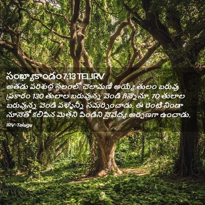 Picture 02 - సంఖ్యాకాండం 7:13 TELIRV - అతడు పరిశుద్ధ - Bible Verse Picture