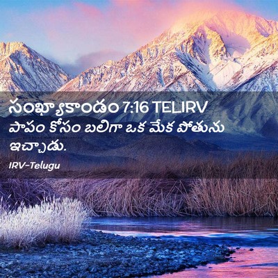 Picture 02 - సంఖ్యాకాండం 7:16 TELIRV - పాపం కోసం బలిగా ఒక - Bible Verse Picture