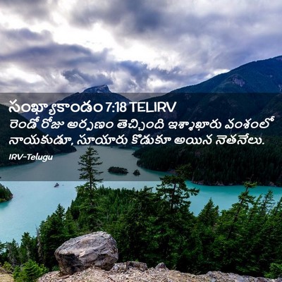 Picture 02 - సంఖ్యాకాండం 7:18 TELIRV - రెండో రోజు అర్పణం - Bible Verse Picture