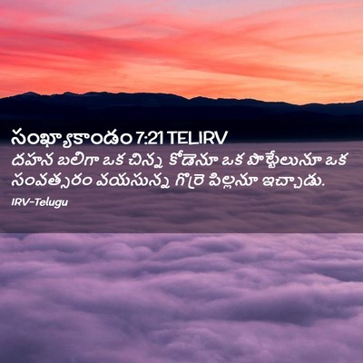 Picture 02 - సంఖ్యాకాండం 7:21 TELIRV - దహన బలిగా ఒక చిన్న - Bible Verse Picture
