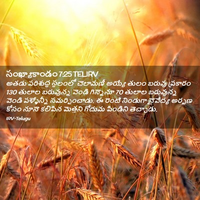 Picture 02 - సంఖ్యాకాండం 7:25 TELIRV - అతడు పరిశుద్ధ - Bible Verse Picture