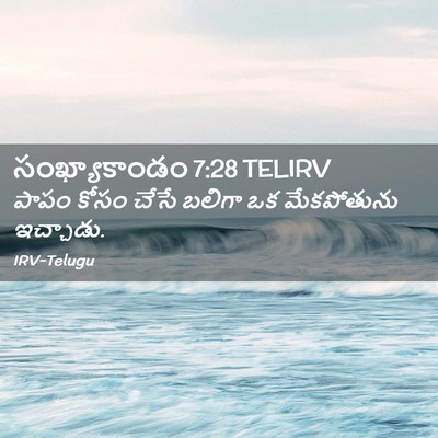 Picture 02 - సంఖ్యాకాండం 7:28 TELIRV - పాపం కోసం చేసే - Bible Verse Picture