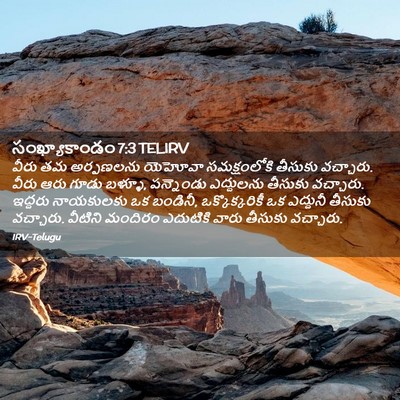 Picture 02 - సంఖ్యాకాండం 7:3 TELIRV - వీరు తమ అర్పణలను - Bible Verse Picture