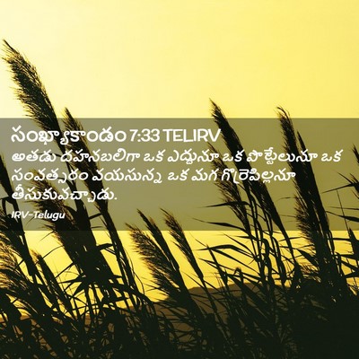 Picture 02 - సంఖ్యాకాండం 7:33 TELIRV - అతడు దహనబలిగా ఒక - Bible Verse Picture