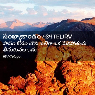 Picture 02 - సంఖ్యాకాండం 7:34 TELIRV - పాపం కోసం చేసే - Bible Verse Picture