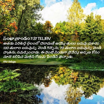 Picture 02 - సంఖ్యాకాండం 7:37 TELIRV - అతడు పరిశుద్ధ - Bible Verse Picture