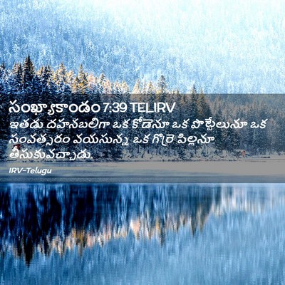 Picture 02 - సంఖ్యాకాండం 7:39 TELIRV - ఇతడు దహనబలిగా ఒక - Bible Verse Picture