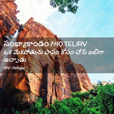 Picture 02 - సంఖ్యాకాండం 7:40 TELIRV - ఒక మేకపోతును పాపం - Bible Verse Picture