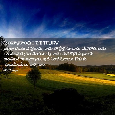 Picture 02 - సంఖ్యాకాండం 7:41 TELIRV - ఇంకా రెండు - Bible Verse Picture