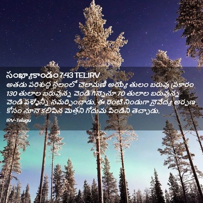 Picture 02 - సంఖ్యాకాండం 7:43 TELIRV - అతడు పరిశుద్ధ - Bible Verse Picture