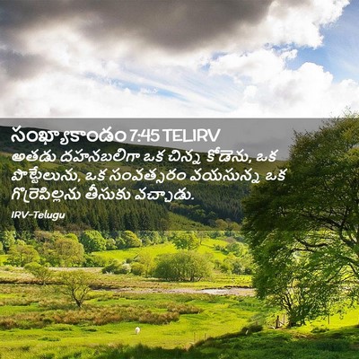 Picture 02 - సంఖ్యాకాండం 7:45 TELIRV - అతడు దహనబలిగా ఒక - Bible Verse Picture