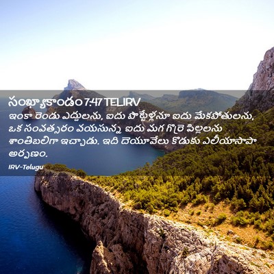 Picture 02 - సంఖ్యాకాండం 7:47 TELIRV - ఇంకా రెండు - Bible Verse Picture