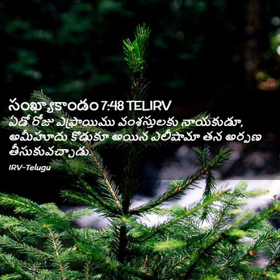 Picture 02 - సంఖ్యాకాండం 7:48 TELIRV - ఏడో రోజు - Bible Verse Picture