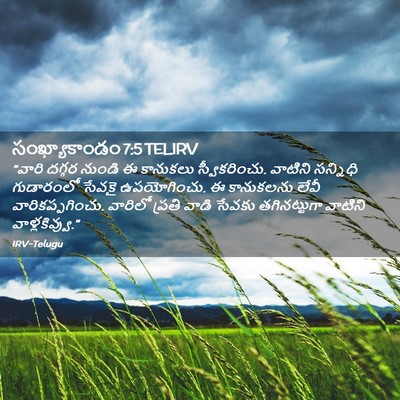 Picture 02 - సంఖ్యాకాండం 7:5 TELIRV - “వారి దగ్గర నుండి - Bible Verse Picture