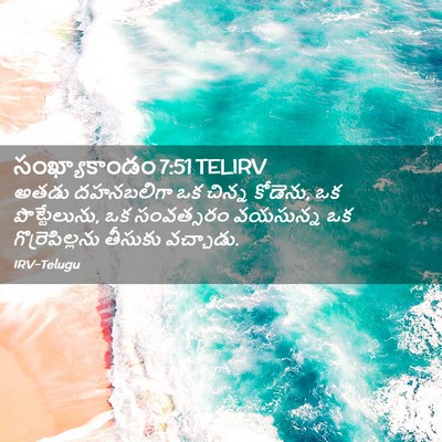 Picture 02 - సంఖ్యాకాండం 7:51 TELIRV - అతడు దహనబలిగా ఒక - Bible Verse Picture