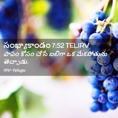 Picture 02 - సంఖ్యాకాండం 7:52 TELIRV - పాపం కోసం చేసే - Bible Verse Picture