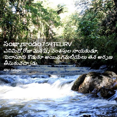 Picture 02 - సంఖ్యాకాండం 7:54 TELIRV - ఎనిమిదో రోజు - Bible Verse Picture
