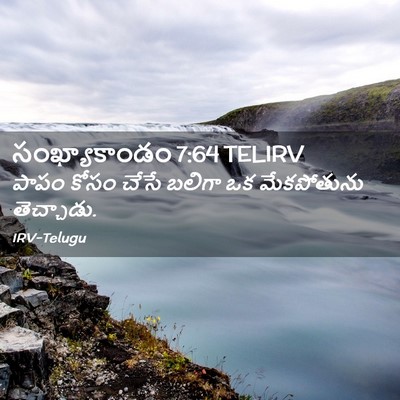 Picture 02 - సంఖ్యాకాండం 7:64 TELIRV - పాపం కోసం చేసే - Bible Verse Picture