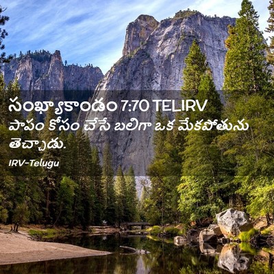 Picture 02 - సంఖ్యాకాండం 7:70 TELIRV - పాపం కోసం చేసే - Bible Verse Picture