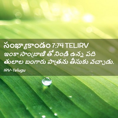 Picture 02 - సంఖ్యాకాండం 7:74 TELIRV - ఇంకా సాంబ్రాణి తో - Bible Verse Picture
