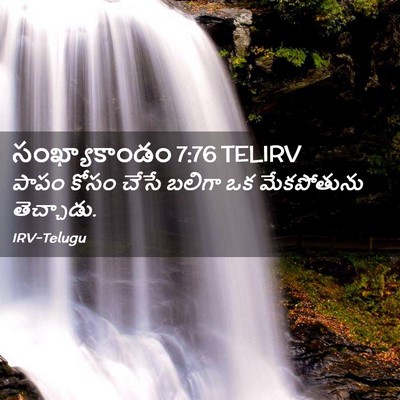 Picture 02 - సంఖ్యాకాండం 7:76 TELIRV - పాపం కోసం చేసే - Bible Verse Picture