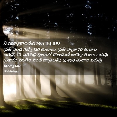 Picture 02 - సంఖ్యాకాండం 7:85 TELIRV - ప్రతి వెండి - Bible Verse Picture