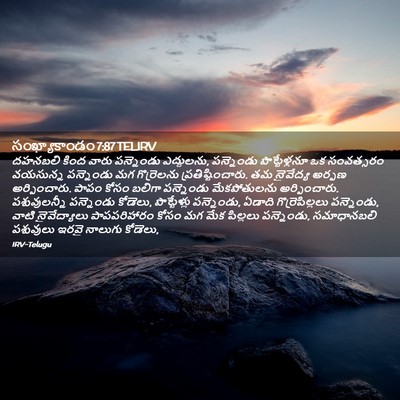 Picture 02 - సంఖ్యాకాండం 7:87 TELIRV - దహనబలి కింద వారు - Bible Verse Picture
