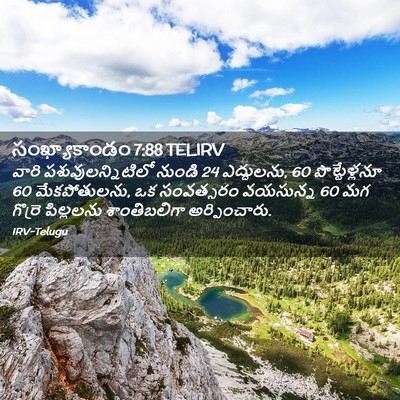 Picture 02 - సంఖ్యాకాండం 7:88 TELIRV - వారి - Bible Verse Picture