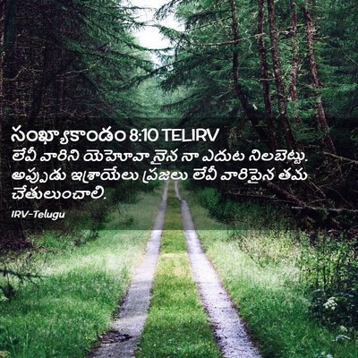 Picture 02 - సంఖ్యాకాండం 8:10 TELIRV - లేవీ వారిని - Bible Verse Picture